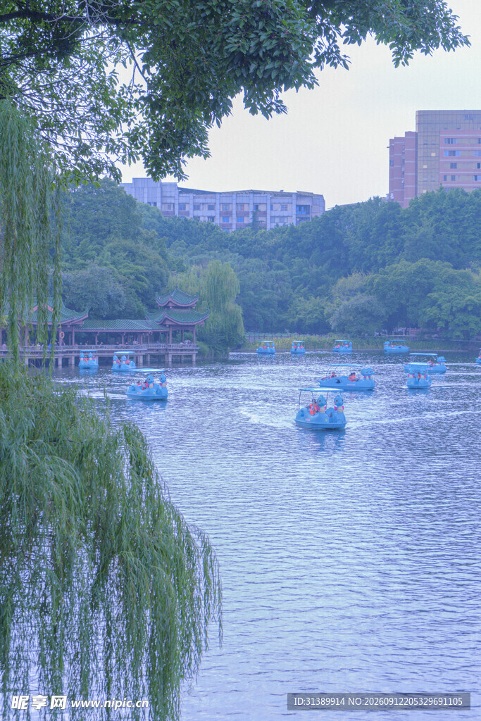 湖畔游船景
