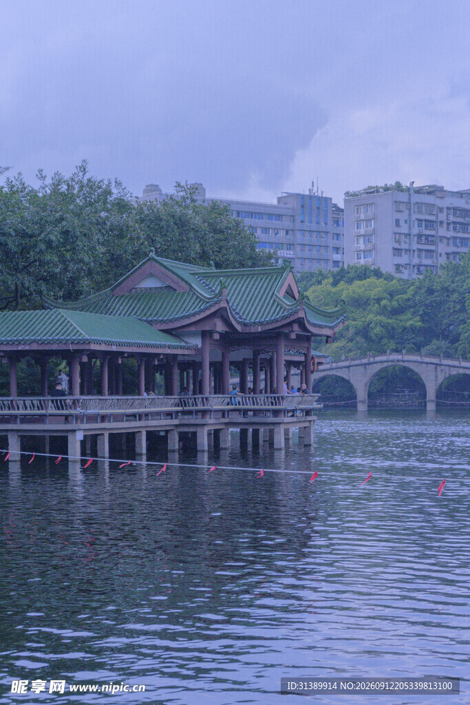 静美水乡景致