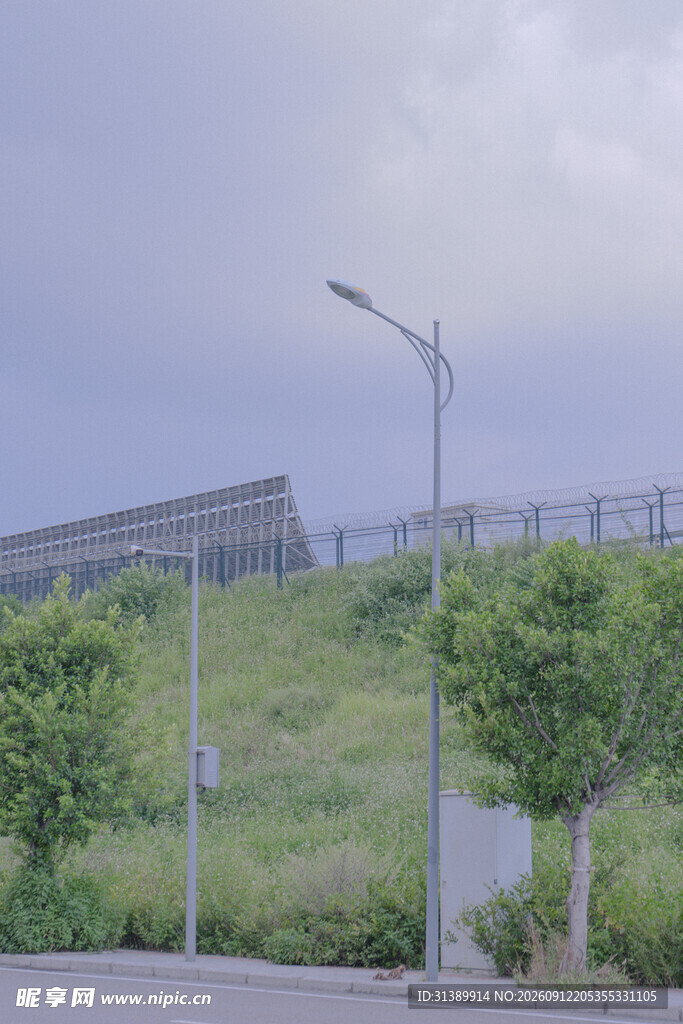 城郊路旁绿植与路灯景观