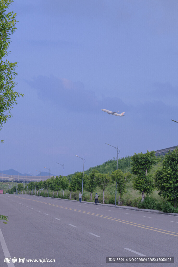宽阔公路旁绿意盎然景色