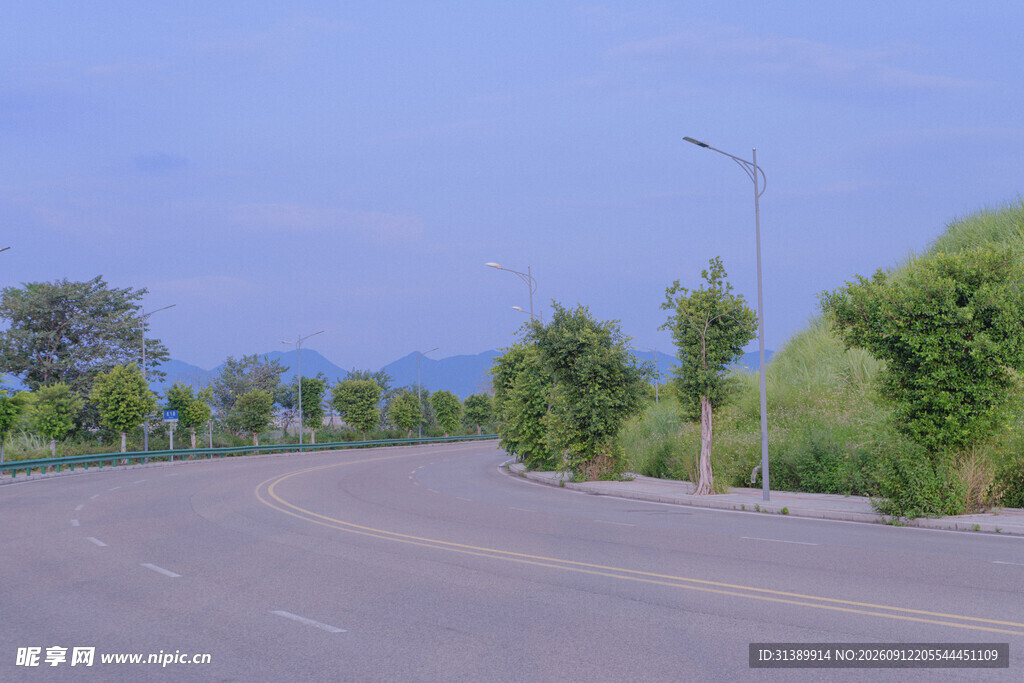 空旷道路旁绿树成荫