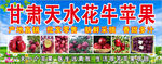 甘肃天水花牛苹果展示