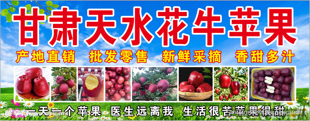 甘肃天水花牛苹果展示