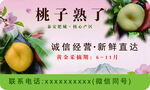 水果名片