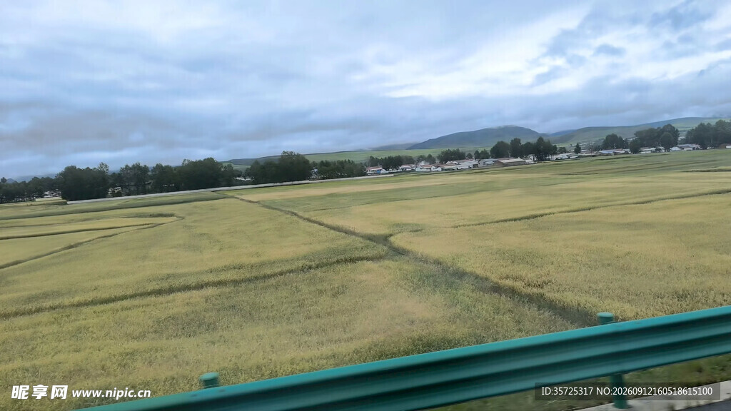 公路旁的广袤田野风光