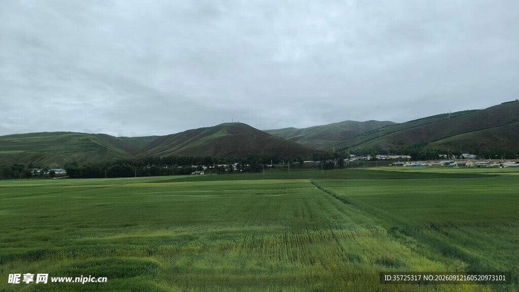 广袤麦田与远山风景