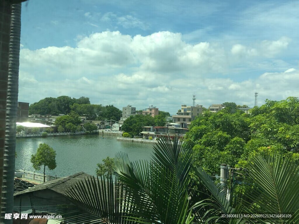 湖畔绿植环绕的美丽景致