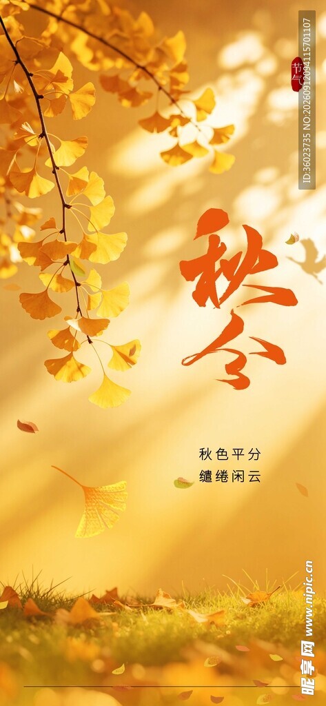 秋日银杏林邂逅浪漫秋景