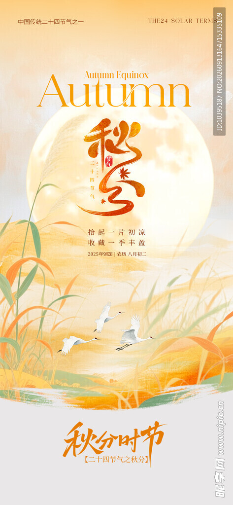 秋分时节海报设计