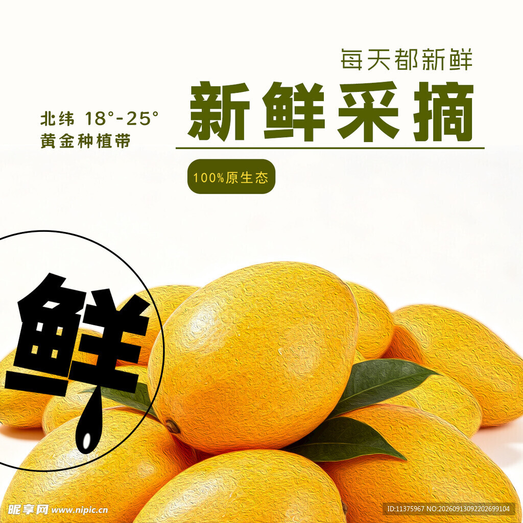 新鲜采摘的美味芒果