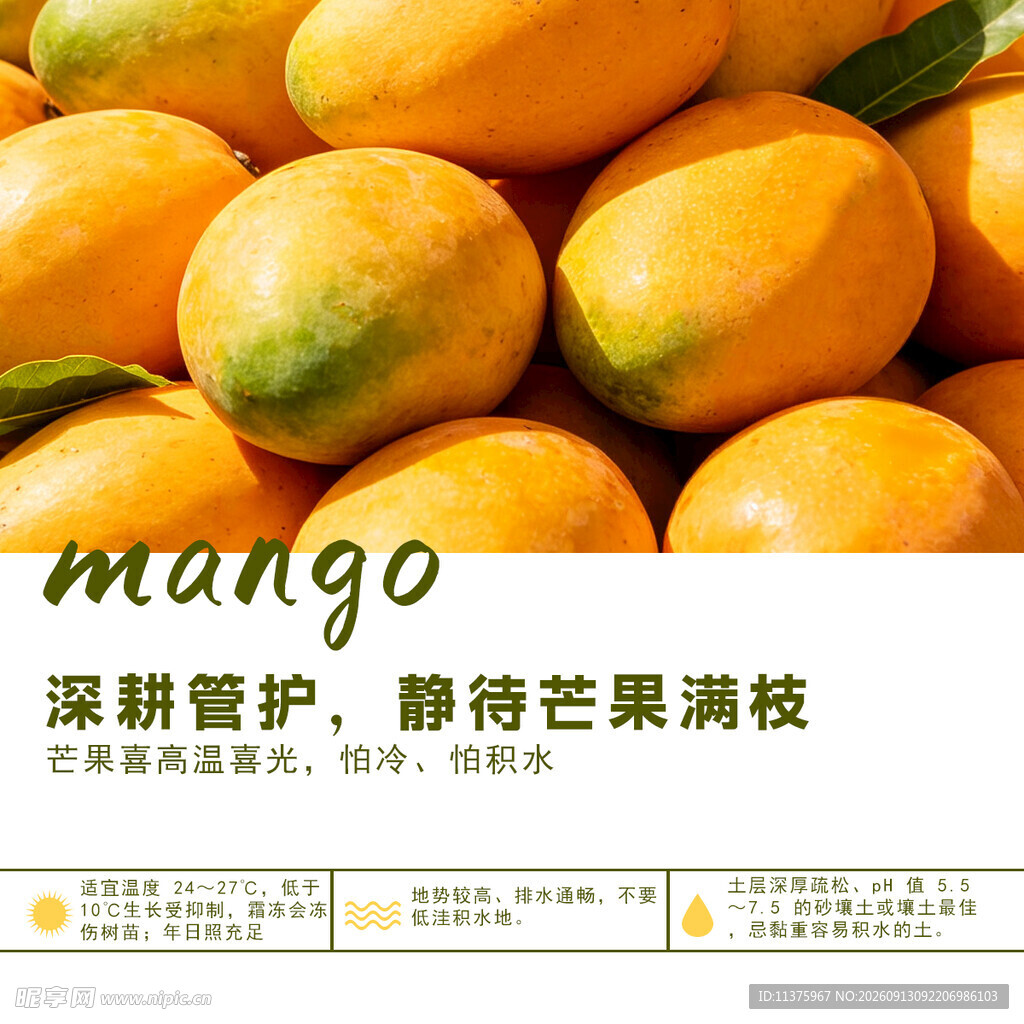 甜蜜视觉享受