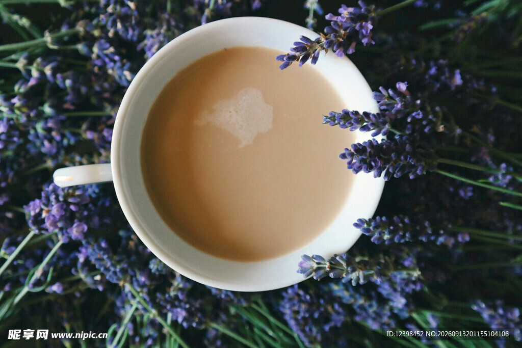 薰衣草旁的一杯暖心咖啡