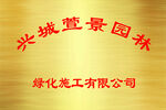 钛金牌