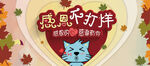 感恩有你可爱猫咪相伴