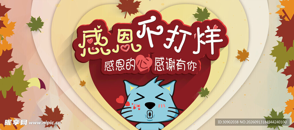感恩有你可爱猫咪相伴