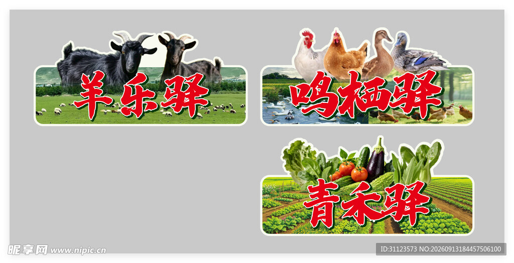 农场动物组合插画