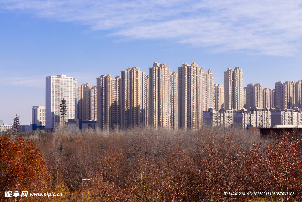 秋日城市高楼景观