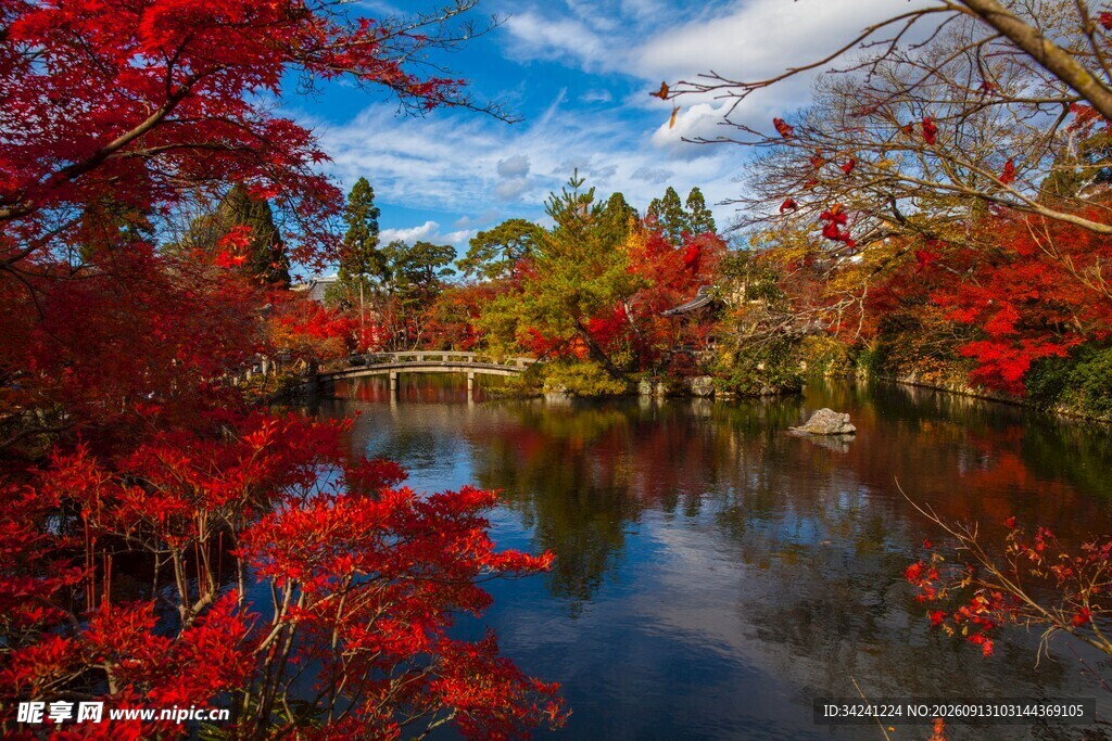 秋日湖畔红叶美景