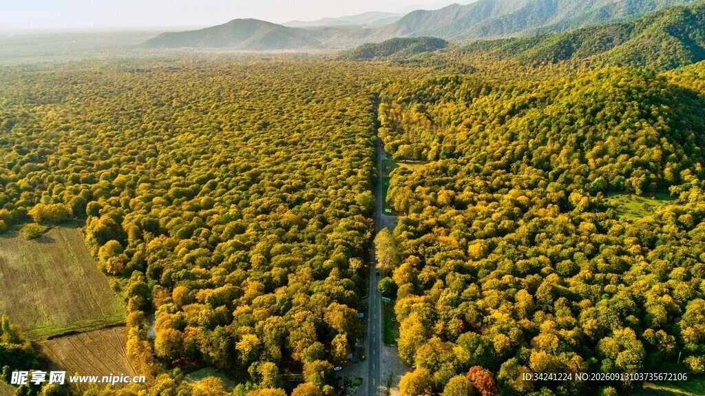 航拍葱郁山林间的道路