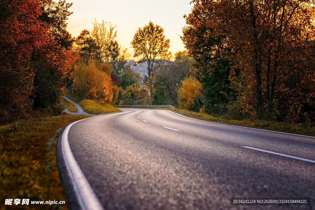 秋日林间蜿蜒公路美景