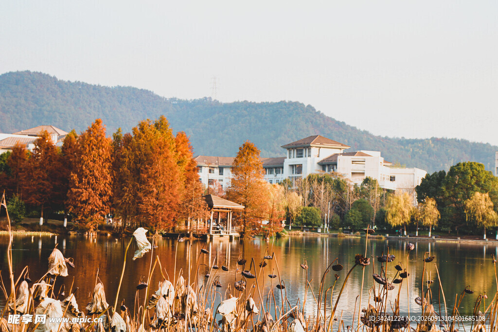 秋日湖畔美景
