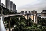 山城高架桥穿林而过