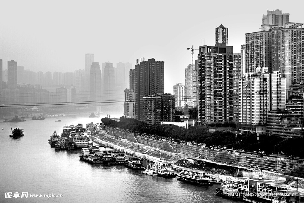 江边高楼林立的城市景观
