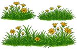 花草插画素材