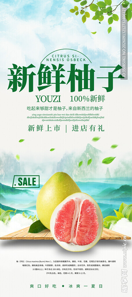 新鲜柚子