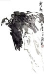 悬崖雄鹰图