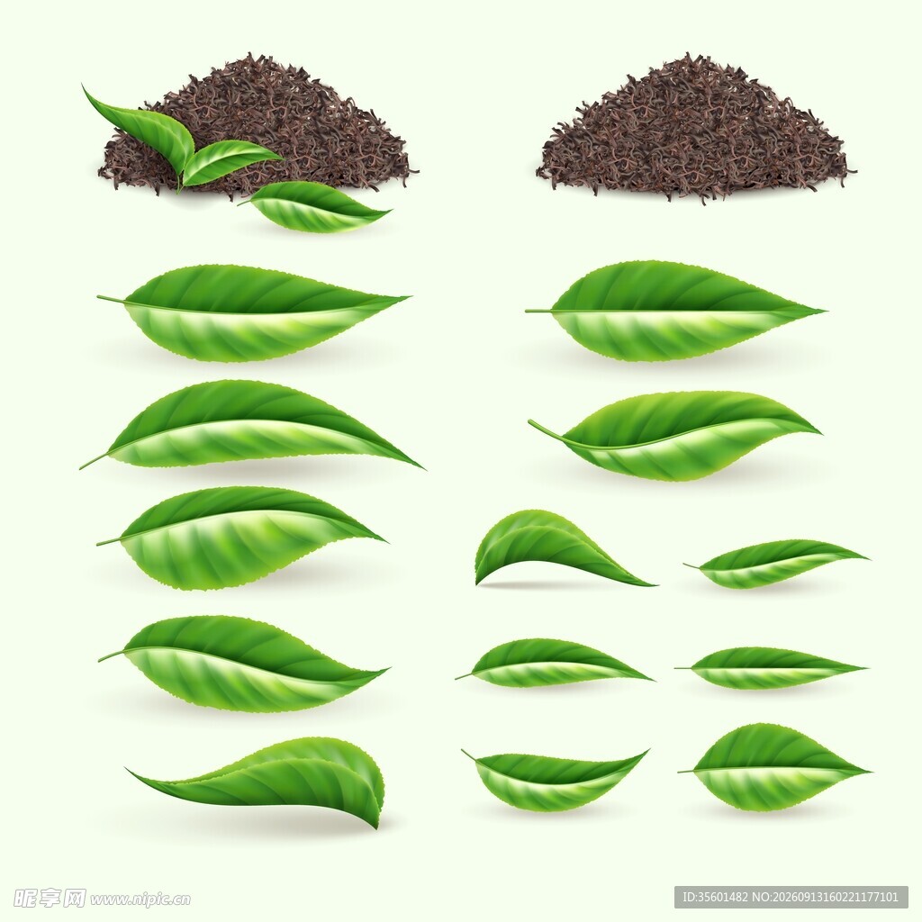 茶枝叶素材集
