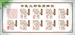 中医九种体质辨识