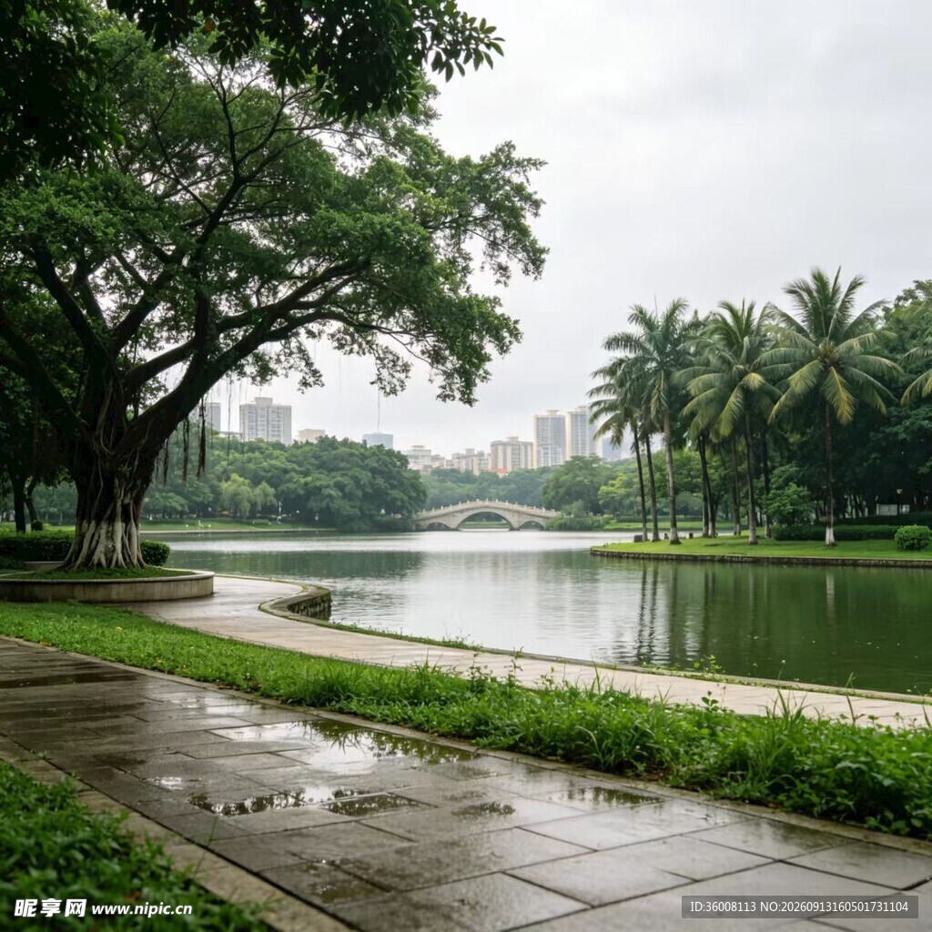 雨后湖畔的清新景致