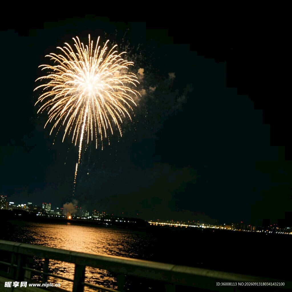 夜空中绽放的绚烂烟花