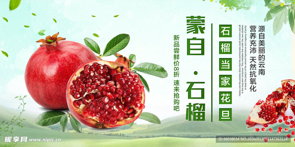 石榴海报