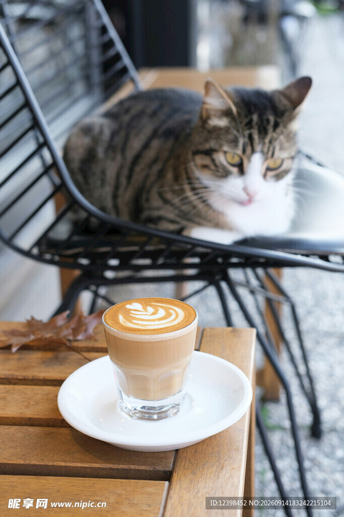 猫咪相伴的惬意咖啡时光