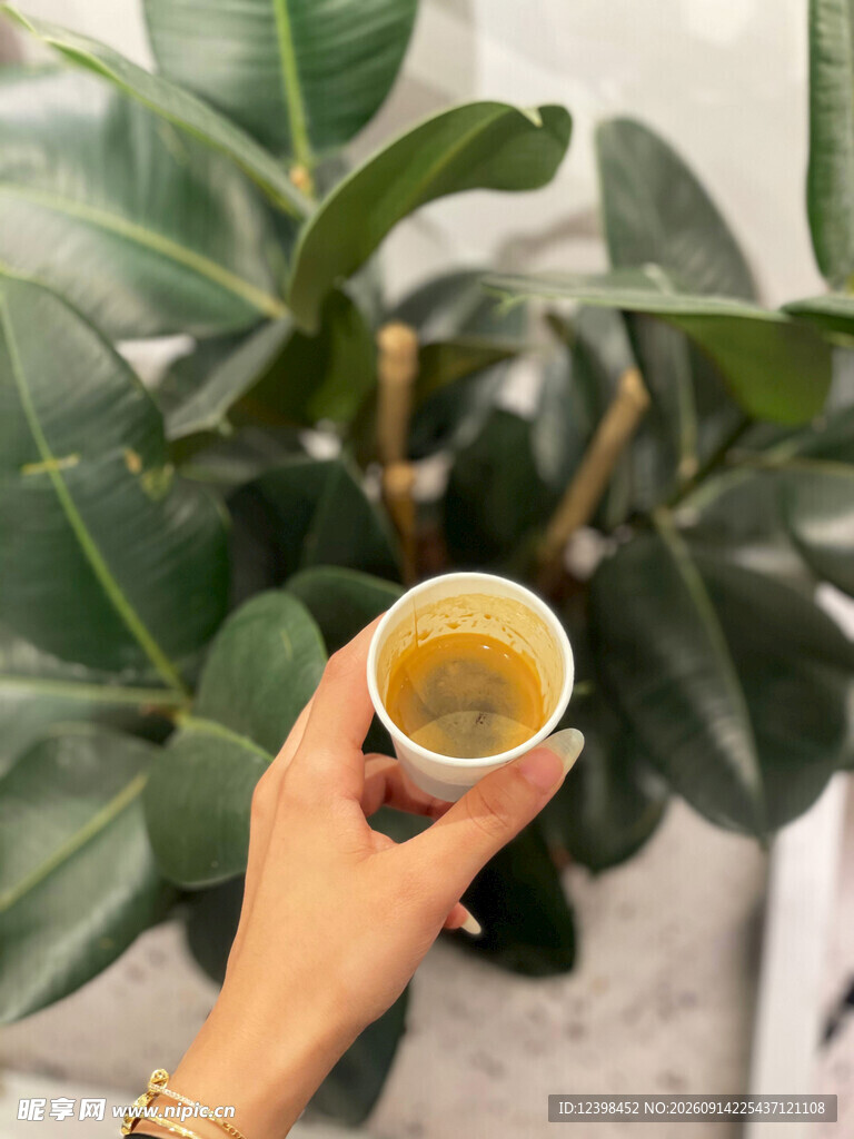 手捧茶饮与绿植的惬意时刻