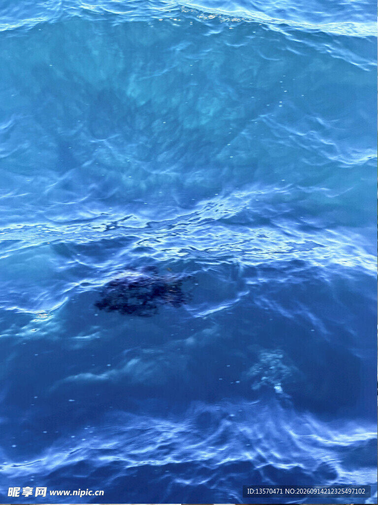 蓝色海面上的神秘漂浮物