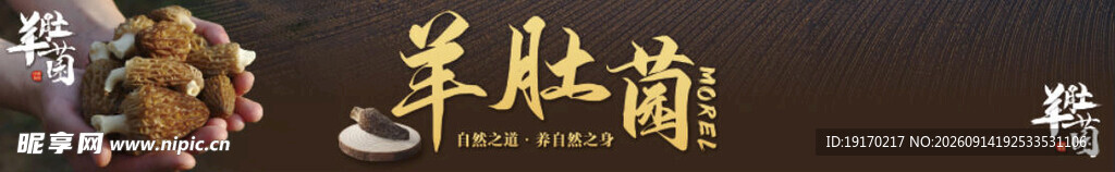 羊肚菌