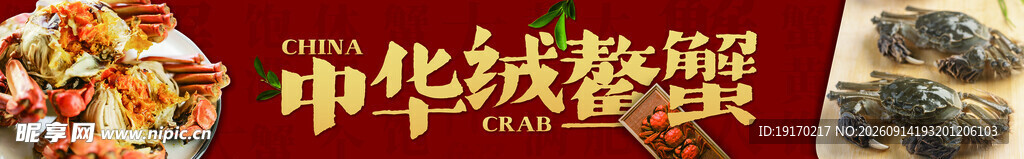 中华绒鳌蟹