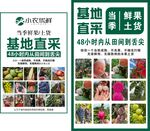 基地直采新鲜多样农产品