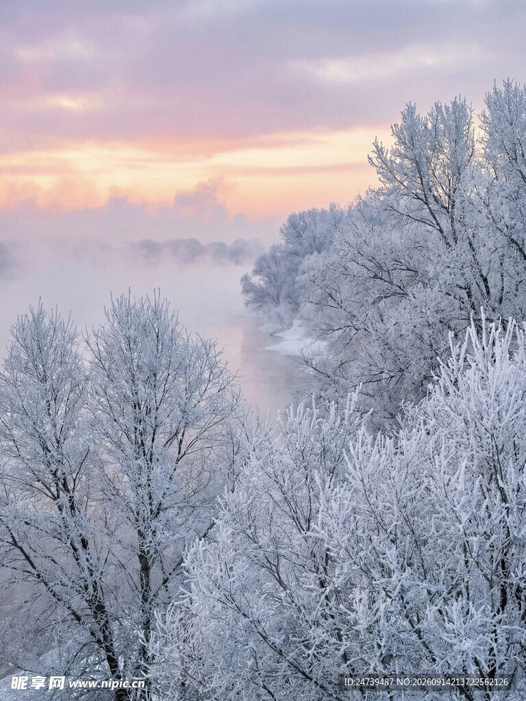 冬日雾凇雪景迷人风光