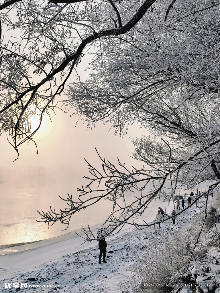 冬日雪景下的树枝与人影
