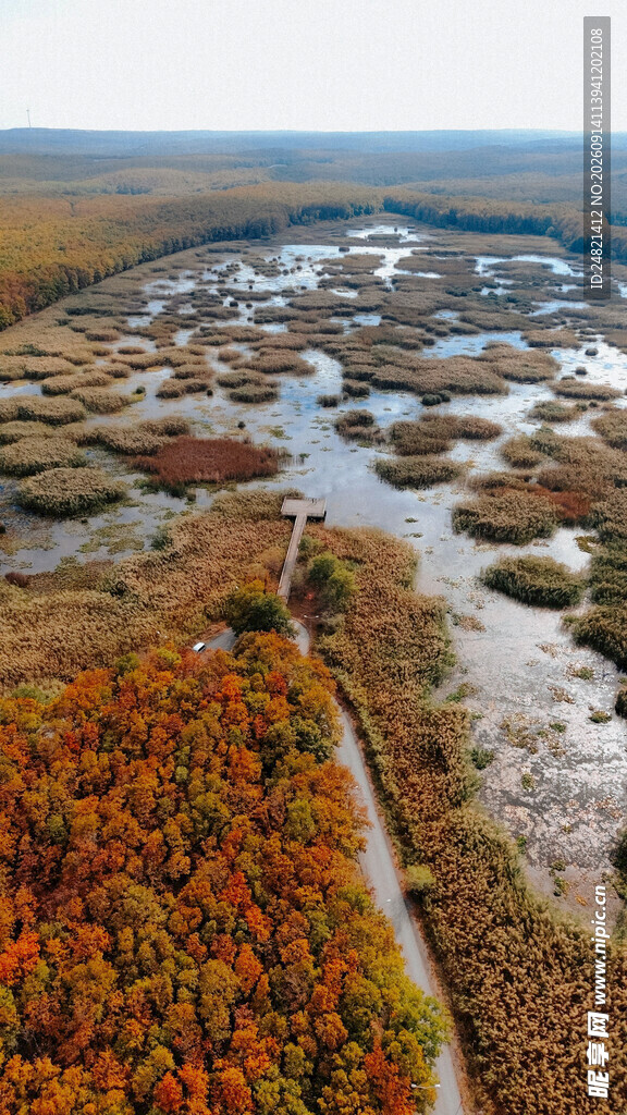 秋日湿地风光美景