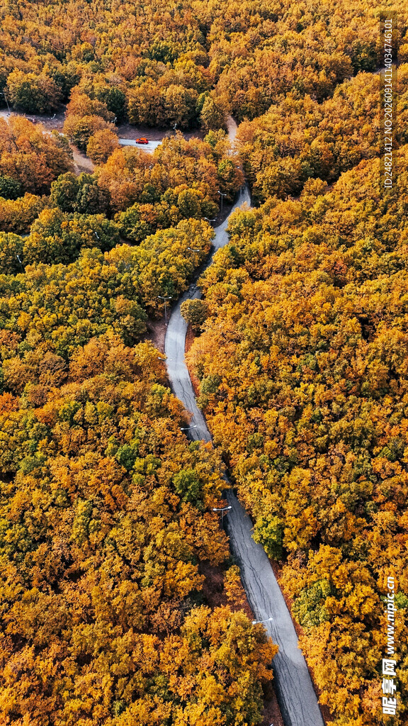 秋日山林间蜿蜒的公路
