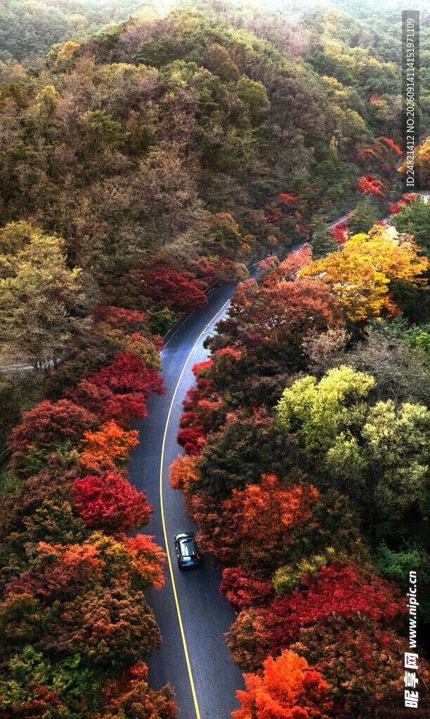 秋日山林间蜿蜒的多彩公路