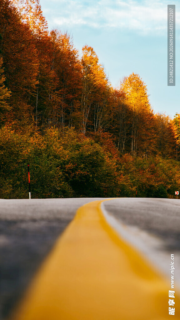 秋日公路