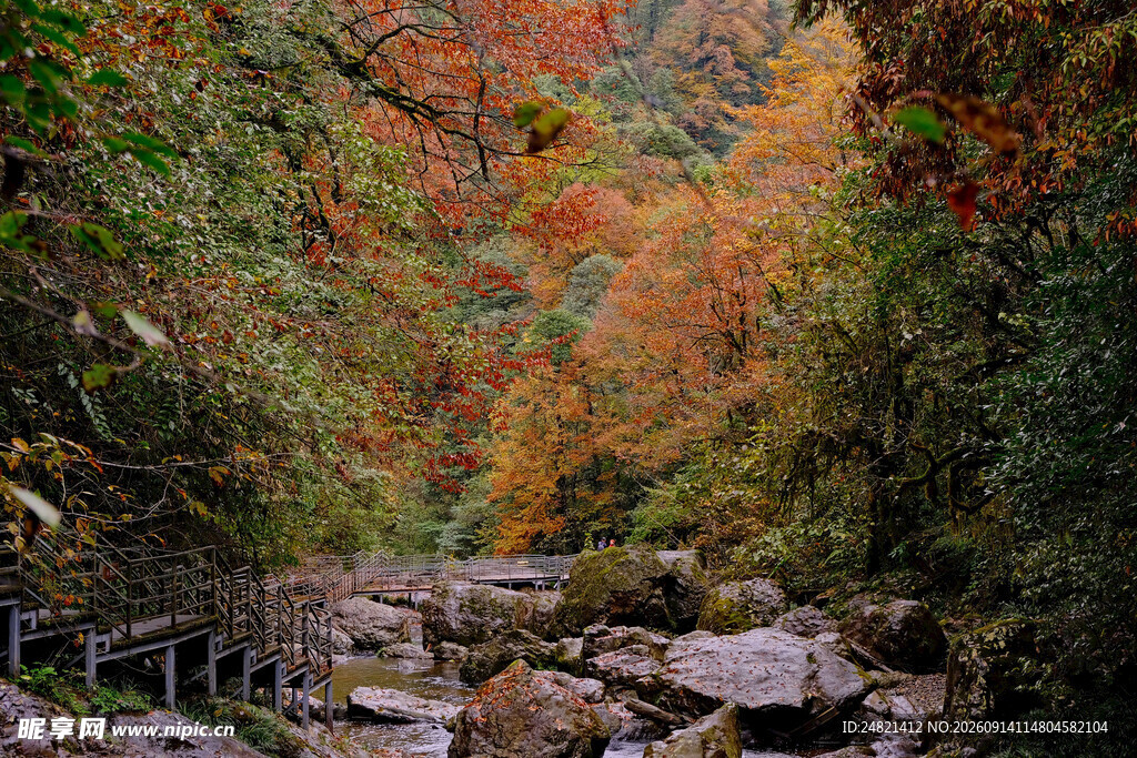 秋日山林溪流美景