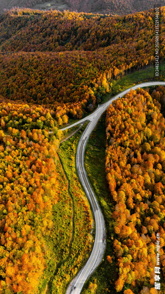 秋日蜿蜒公路美景