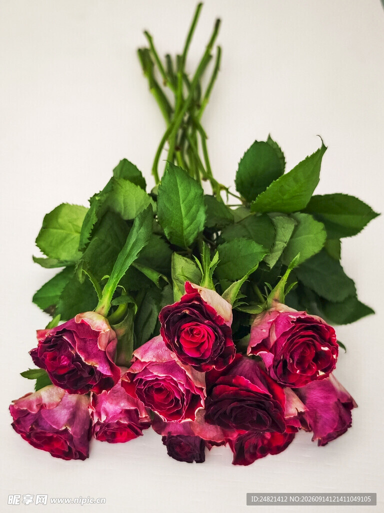 紫粉色玫瑰花束